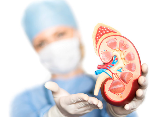 Biopsia renal en Puebla
